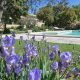 Provence properties and Vineyards